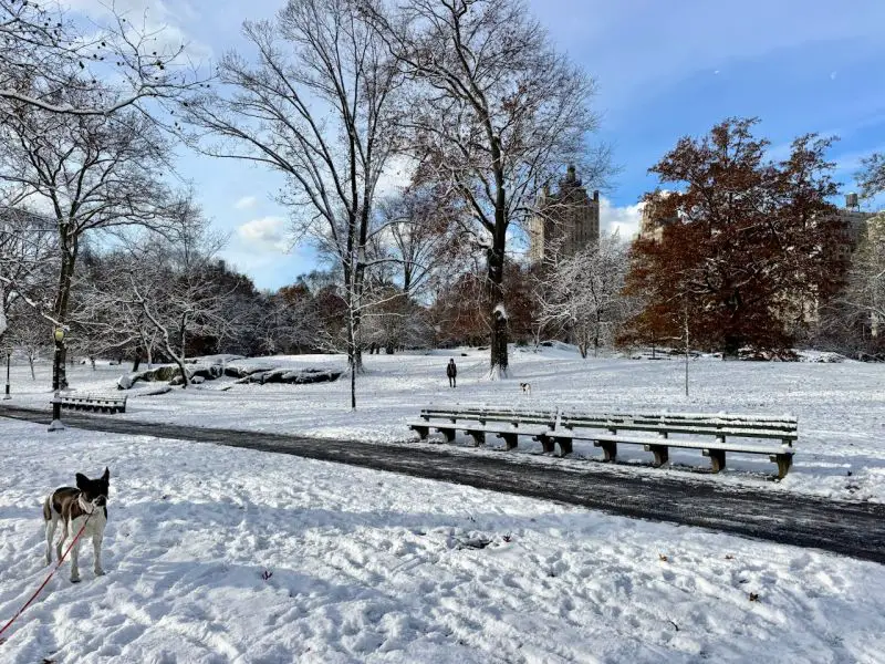 More than 70 dead as extreme cold persists and another winter storm threatens U.S. East Coast