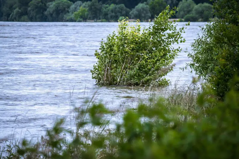 Severe Storms Hit Central U.S. with Flooding, Hail, Tornado Risk; Oklahoma Hospital Roof Torn Off