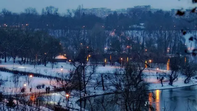 Arctic Blast Shatters Records Across the Southern US