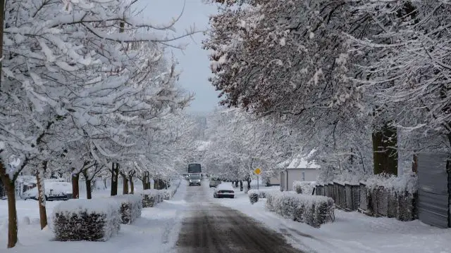 Deep Freeze After Bomb Cyclone Grips Eastern United States