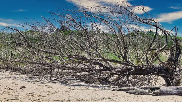 Storms Continue Across Southern California