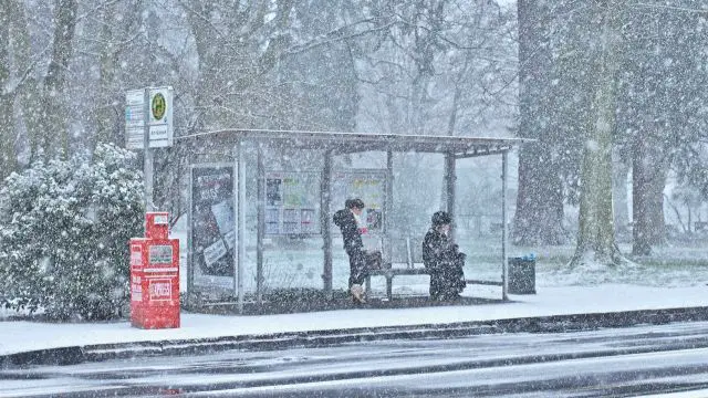 Uncertain Snowstorms Line Up Across the East