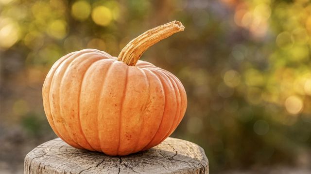 Halloween Weather Split: Rain, Wind, and Chills for Some, Calm Nights for Others