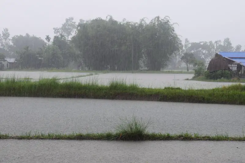 Rain, cooler air and severe storms possible as Phoenix enters final stretch of monsoon season