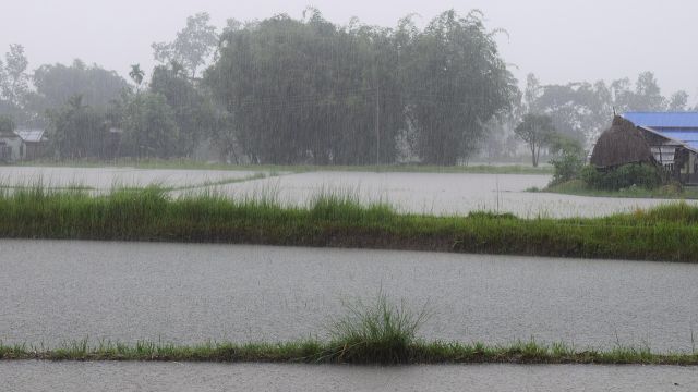 Phoenix braces for final monsoon storms of the season