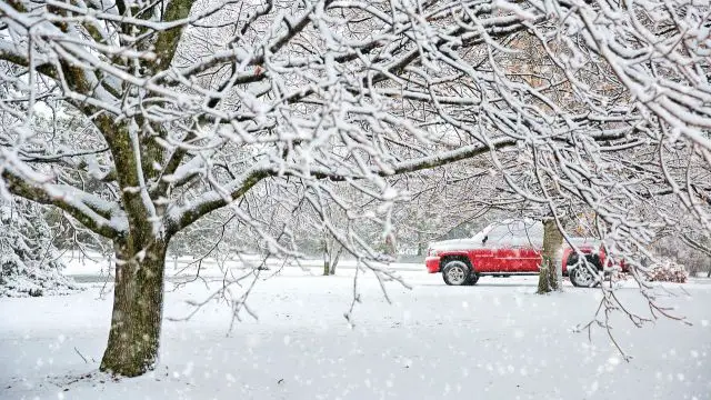 Coldest Air of the Season to Sweep Across U.S. With First Snowfall for Some