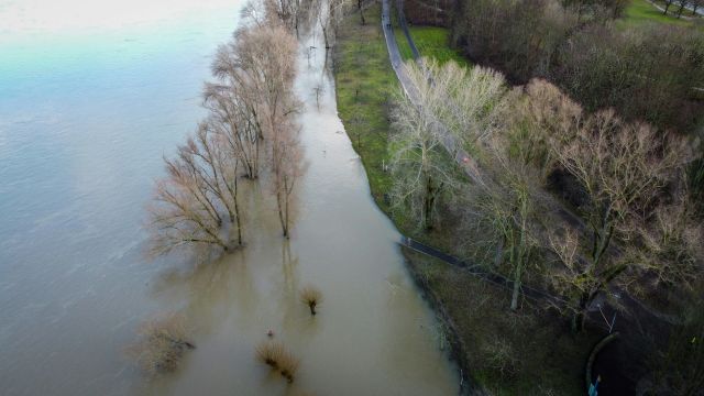Levee Breaches Trigger Flood Warnings South of Seattle
