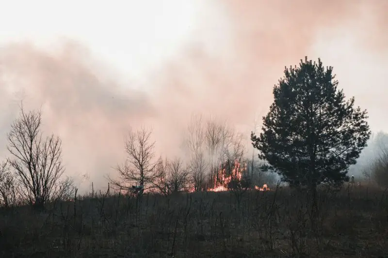 Wind-driven Sandy Fire forces mass evacuations near Simi Valley