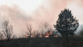 Wind-driven Sandy Fire forces mass evacuations near Simi Valley