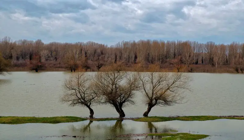 Atmospheric River Flooding Devastates Libby, Montana and Surrounding Communities as More Rain and Wind Approach
