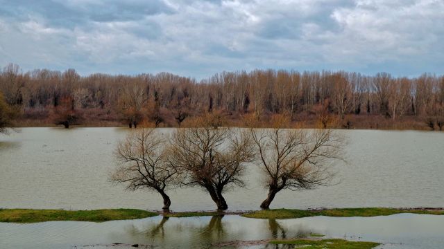 Atmospheric Rivers Flood Western Montana Communities
