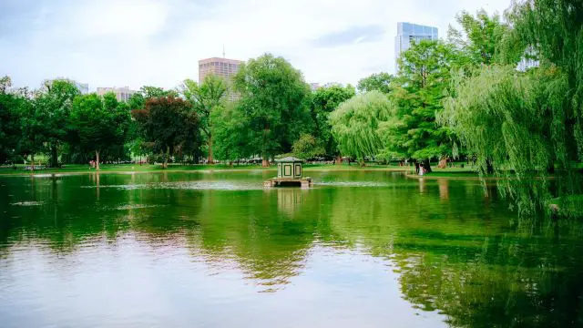 Dangerous Heat Grips Eastern US Before Storms Bring Sudden Cooldown