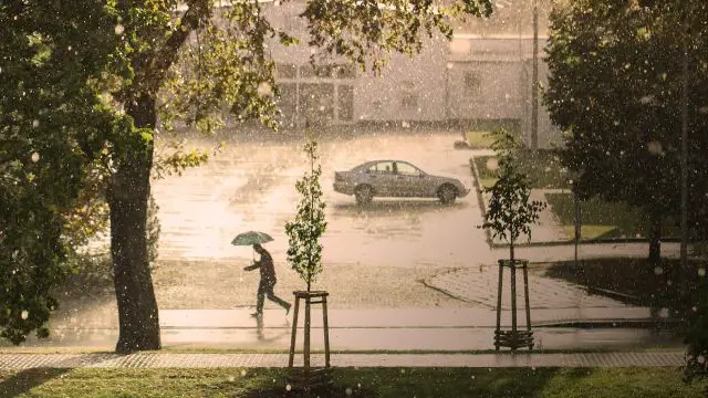 Storm Displaces Dozens in Tempe as Phoenix Dries Out After Days of Rain