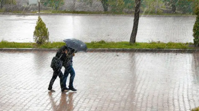 Storms Disrupt Holiday Travel Across the United States