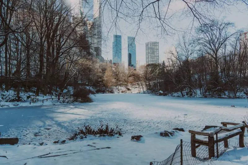 Arctic cold deepens from New York City, New York, to Dallas, Texas