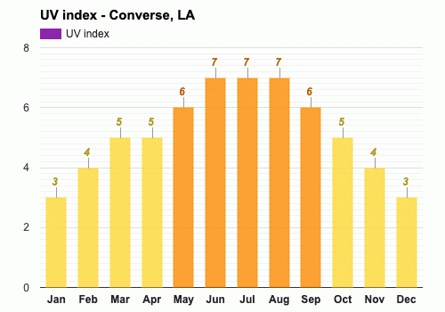 Converse shop la weather