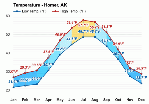 homer alaska weather today