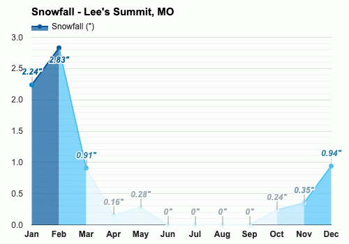 January Weather forecast - Winter forecast - Lee's Summit, MO