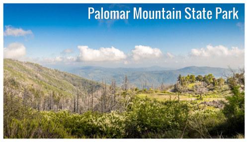 The forest and mountain meadows of the Palomar Mountain State Park in California