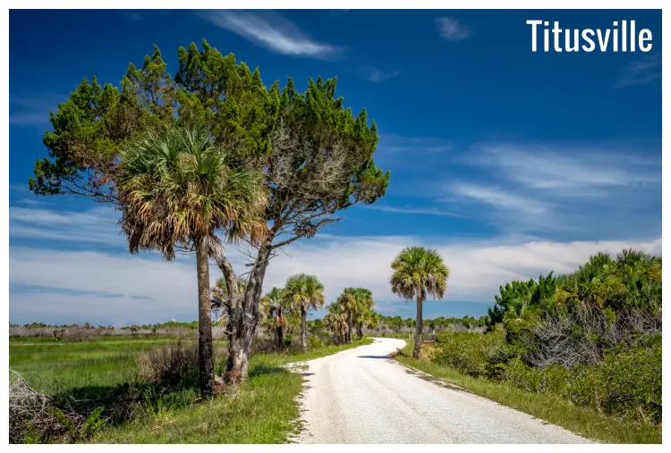 Trees on both sides of the clear path of the Black Point Wildlife Drive in Titusville, Florida, Path Forward to one of the major tourist spots in FL Trees on both sides of the clear path of the Black Point Wildlife Drive in Titusville, Florida, Path Forward to one of the major tourist spots in FL