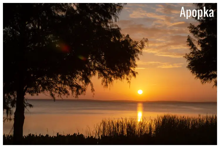 The bright and yellow sunset rays reflected upon the calm waters of Lake Apopka in Florida The bright and yellow sunset rays reflected upon the calm waters of Lake Apopka in Florida