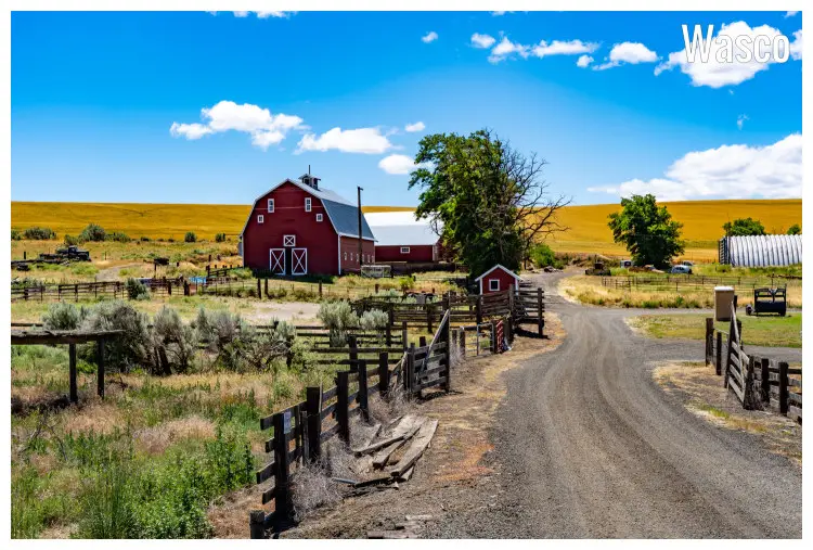 A big ranch farm with a large, red barn and a vast planted farm outback, near Wasco Town in Oregon