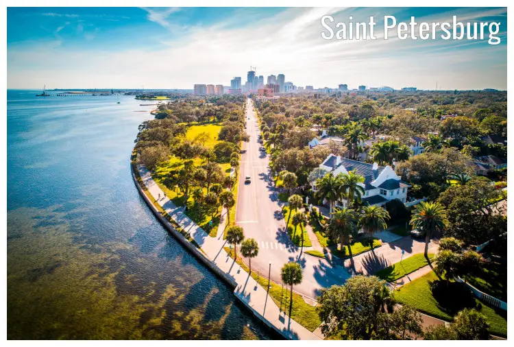 Beautiful clear waterfront, scenic palm trees, and a straight road to St. Petersburg in Florida