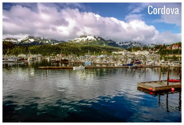 A boat-laden busy bay of Cordova, Alaska, with the view of forests and snow-peaked mountains A boat-laden busy bay of Cordova, Alaska, with the view of forests and snow-peaked mountains
