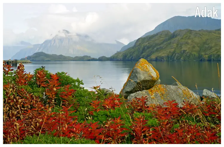 Rocks amid golden-brown plants in the fall overlooking a large lake in Adak, Alaska