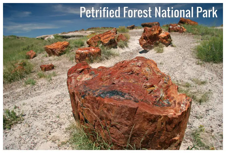 Petrified rock pieces in the Petrified Forest National Park, Arizona