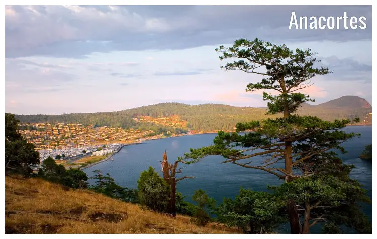 Modern homes, numerous docked boats, scenic forest, and hilly landscape in Anacortes, Washington