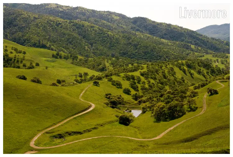 A path in the scenic hilly and forest landscape of the famous Lake Del Valle Regional Park in Livermore, California