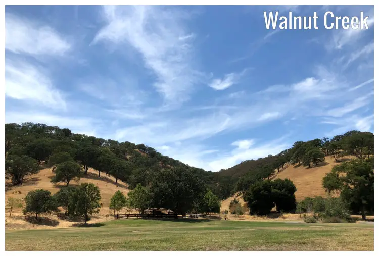 Vast fields and forest slopes of the iconic Mount Diablo State Park within the Walnut Creek in California 