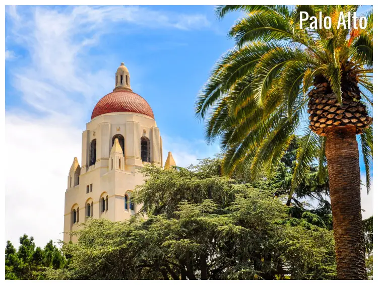 Palm trees and the iconic Hoover Tower within Stanford University in Palo Alto, California Palm trees and the iconic Hoover Tower within Stanford University in Palo Alto, California