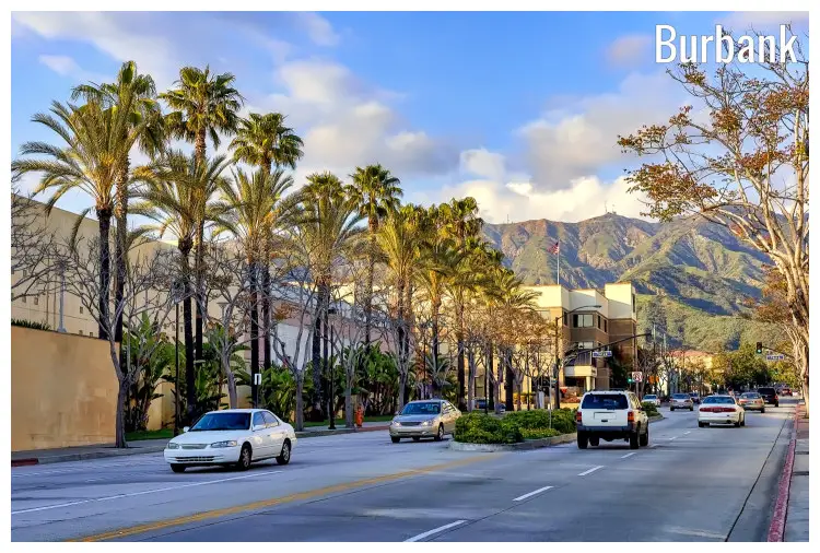 A street with scenic rows of palm trees in Burbank City, California
