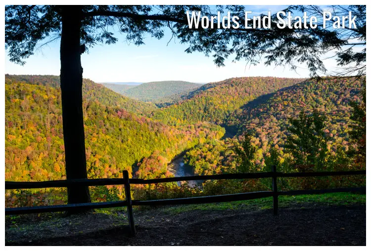 A Winding river snaking through the mountainous Worlds End State Park in Pennsylvania