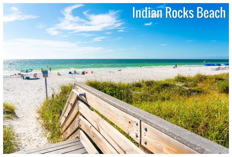 A wooden footwalk and green grass on the scenic Indian Rocks Beach in Florida
