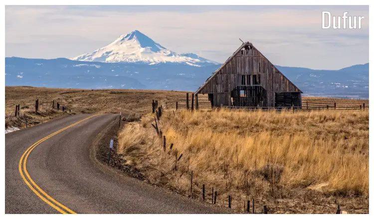 A clear, tarmacked, snaky road near Dufur in Oregon, with a view of a lone wooden shed and a far view of a snow-peaked mountain