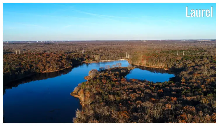 The scenic and clear waters of Lake Redington near Laurel in Maryland, surrounded by a dense tree cover