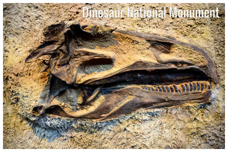 A stone engraving of a dinosaur