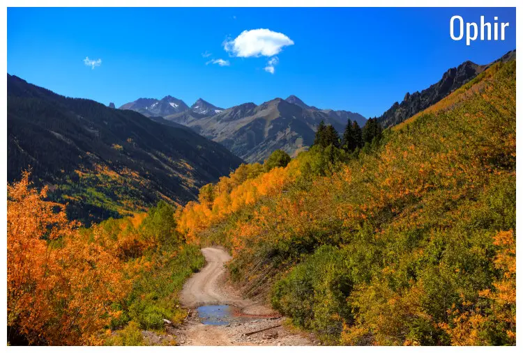 A rough unmarked road through the shrubs and hilly slopes in the mountainous region heading to Ophir town, Colorado A rough unmarked road through the shrubs and hilly slopes in the mountainous region heading to Ophir town, Colorado