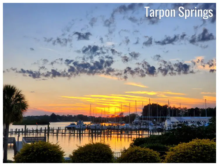 Numerous boats docked on the shores of Tarpon Springs in Florida and the dramatic colorful sky above Numerous boats docked on the shores of Tarpon Springs in Florida and the dramatic colorful sky above