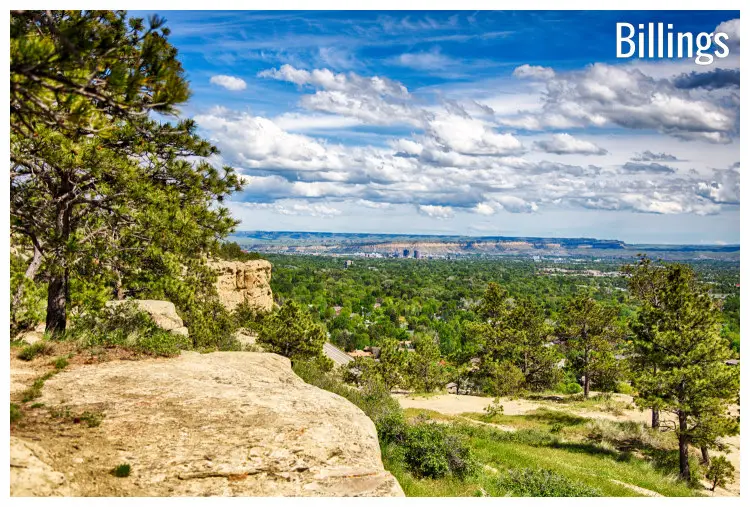 The forest of trees in the plains, on the sandstone bluffs in Billings, Montana