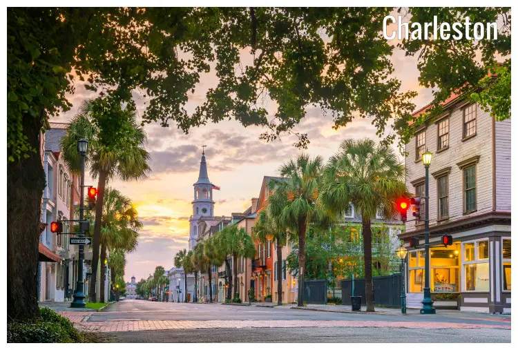 Trees along both sides of a street in Charleston, South Carolina Trees along both sides of a street in Charleston, South Carolina
