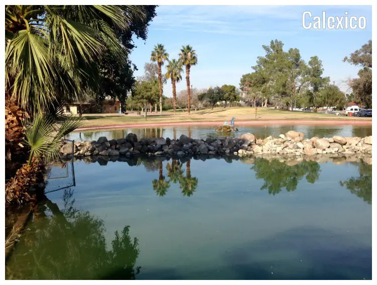 A scenic setting of a small water body and nearby palm trees in the Valents Park in Calexico City, California A scenic setting of a small water body and nearby palm trees in the Valents Park in Calexico City, California