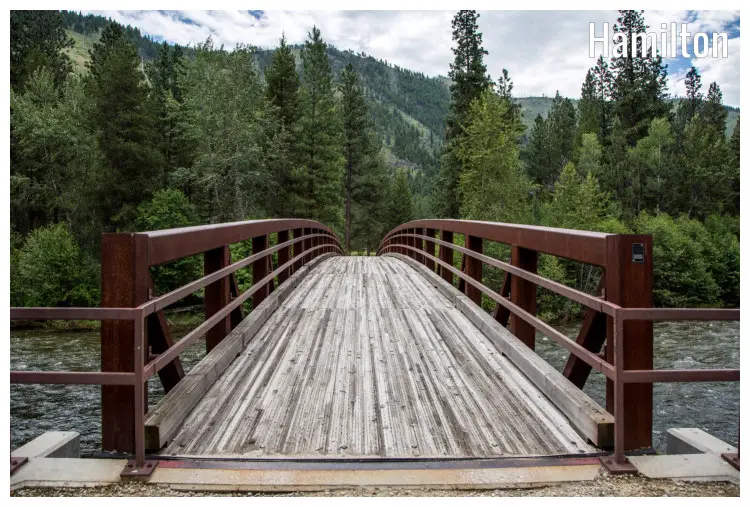 A strong suspension bridge over a fast river in Hamilton, Montana, overlooking scenic trees and hilly landscapes over the other side of the shore