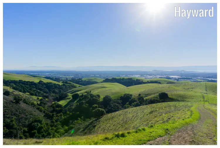The landscape of the famed Verdant Hills in Hayward, California