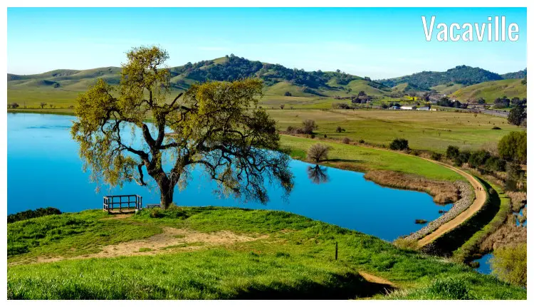 A beautiful blue water lagoon set in Vacaville, California, amid scenic greenery of trees and vast fields, hill ranges, and a walking path around the water A beautiful blue water lagoon set in Vacaville, California, amid scenic greenery of trees and vast fields, hill ranges, and a walking path around the water