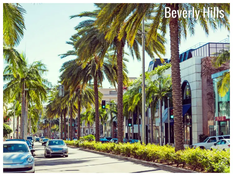 Palm trees along the Rodeo Drive in Beverly Hills, California