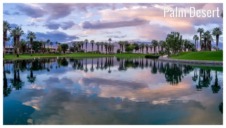 Palm trees line the neat lawns of a golf course in Palm Desert, California, with full reflections in the water Palm trees line the neat lawns of a golf course in Palm Desert, California, with full reflections in the water